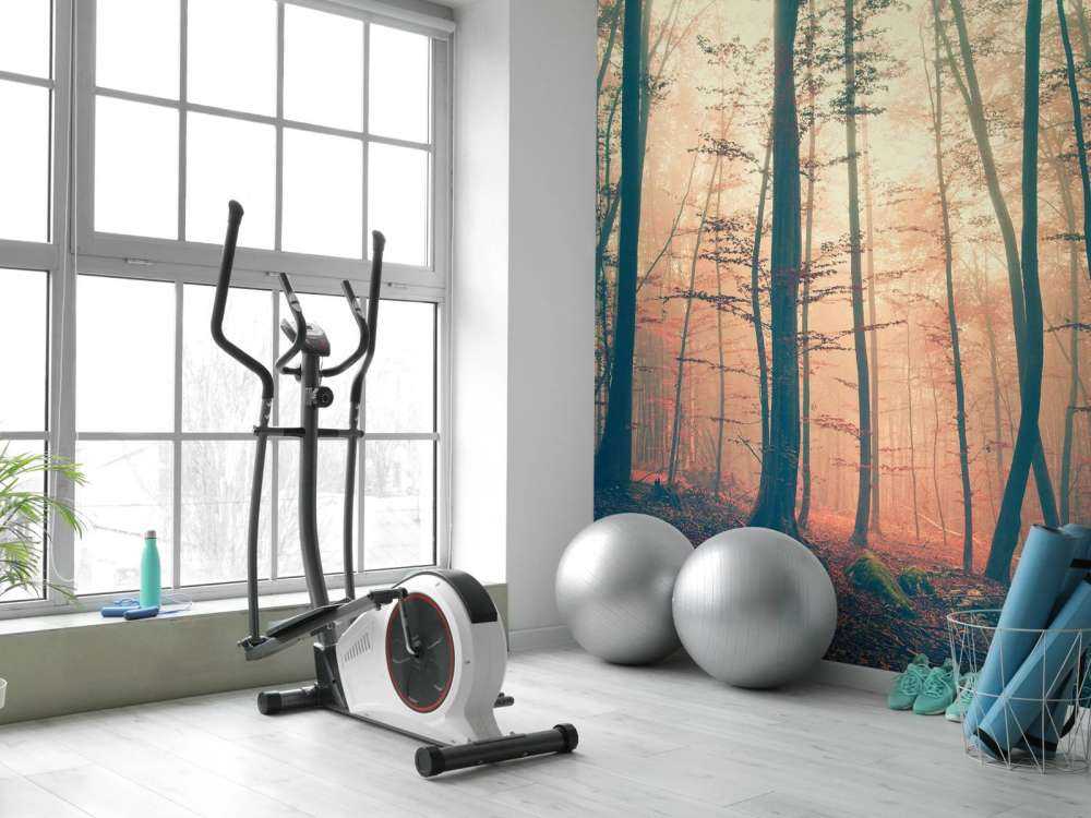 Vintage color forest