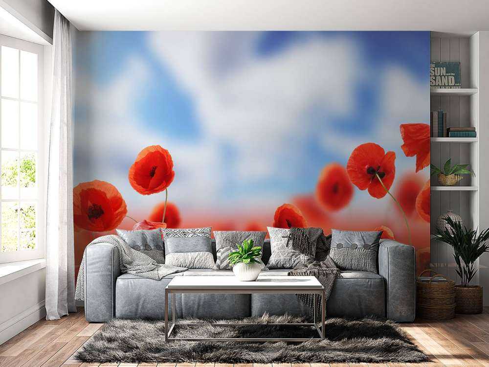 Blue Sky and Red Poppies