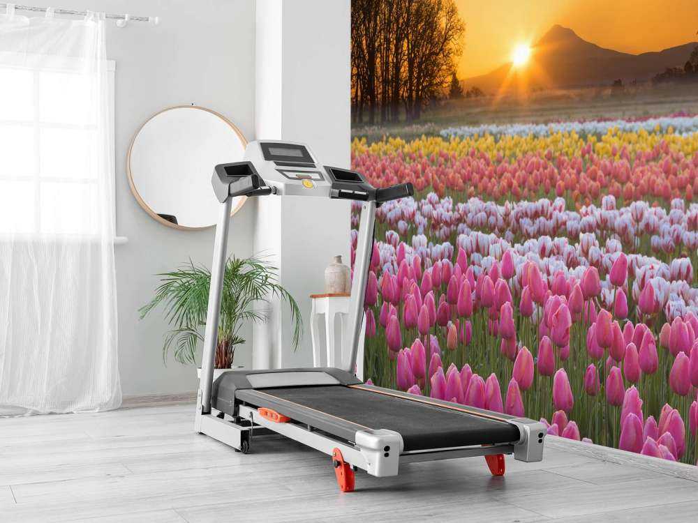 Colorful tulip field