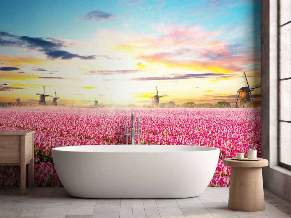 Hollands roze tulpenveld