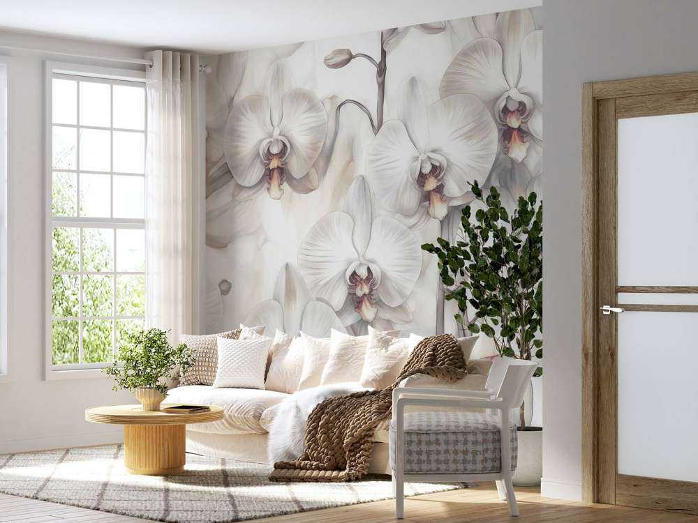 Orchids Paradise Orange