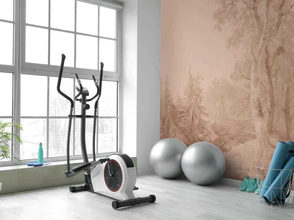 Forest Landscape Terra #1