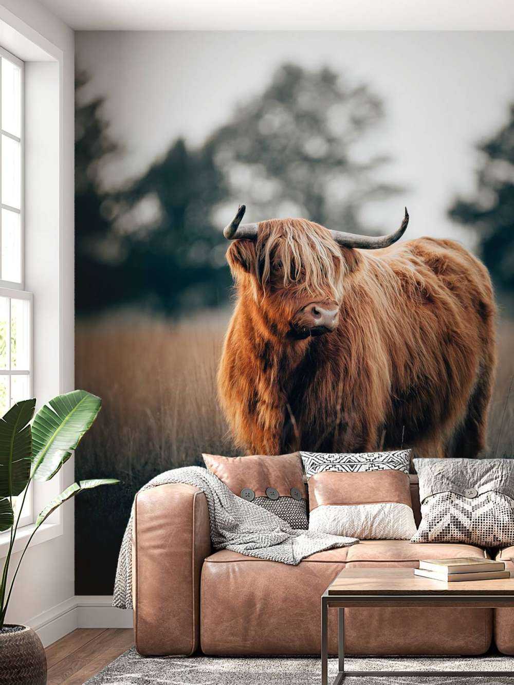 Portrait of Highlanders