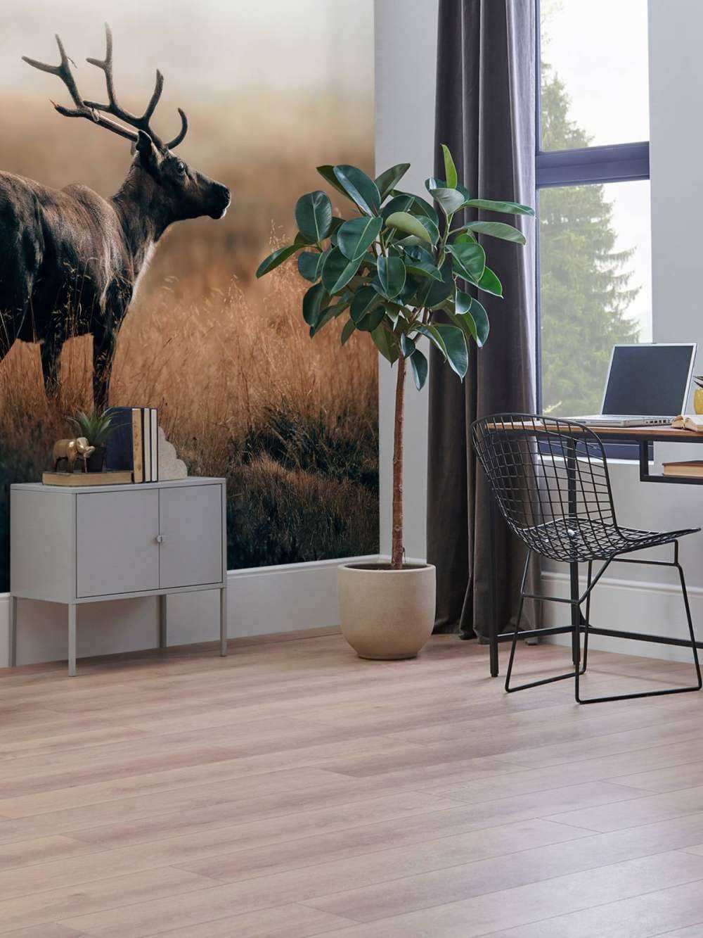 Reindeer in the high grass