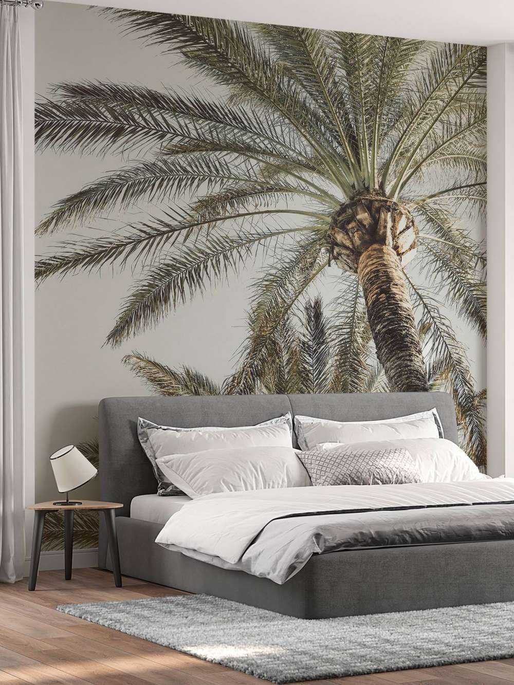 Palm in sun