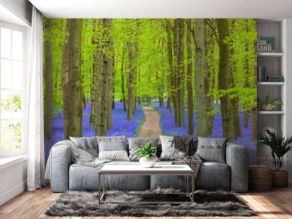Bluebell path