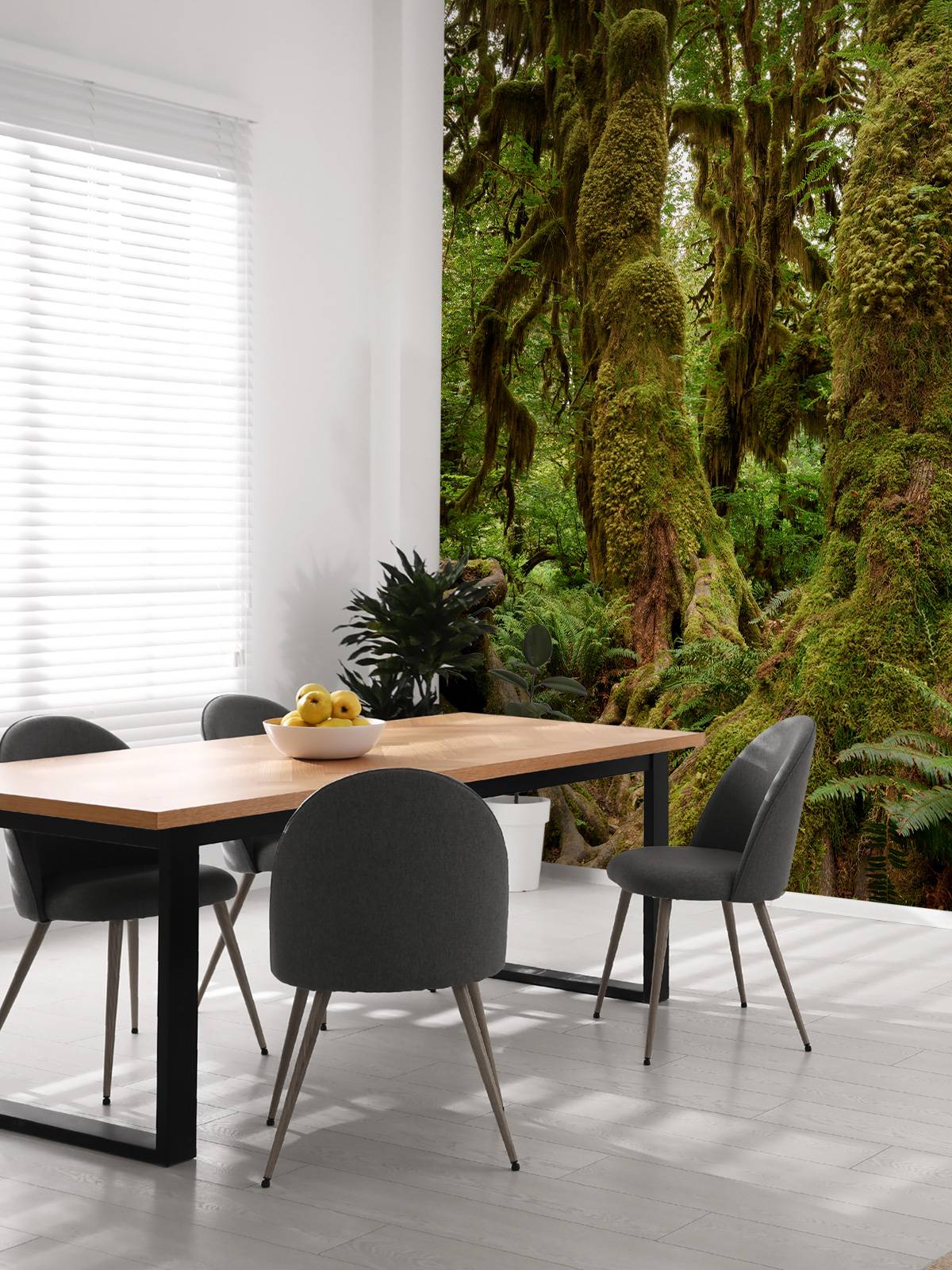 Trees in a rainforest