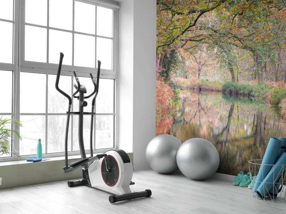 Covered colorful forest