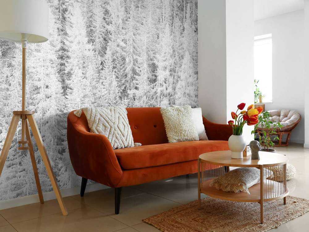 Conifers in black and white