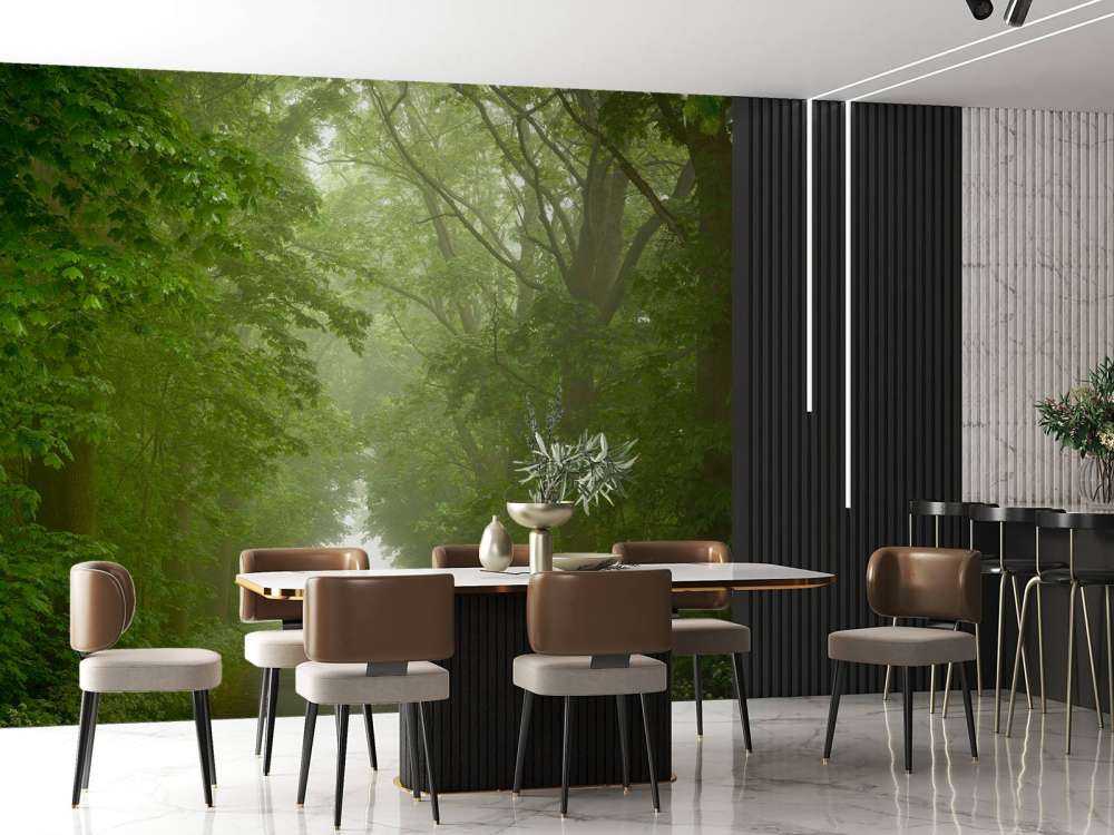 Green forest with misty path