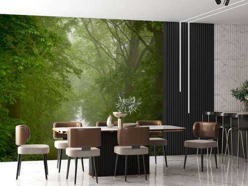 Green forest with misty path