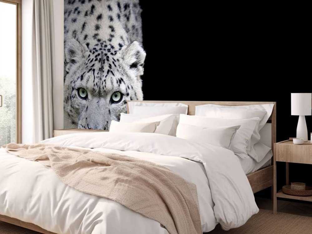 Snow leopard