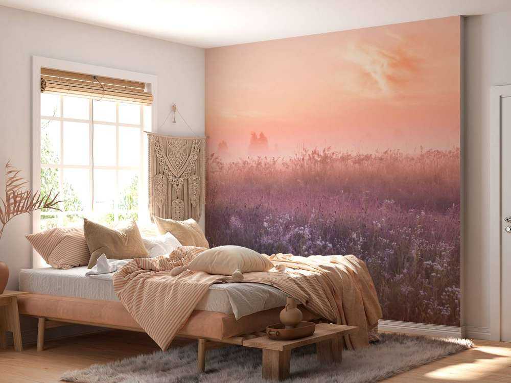 Field with morning mist