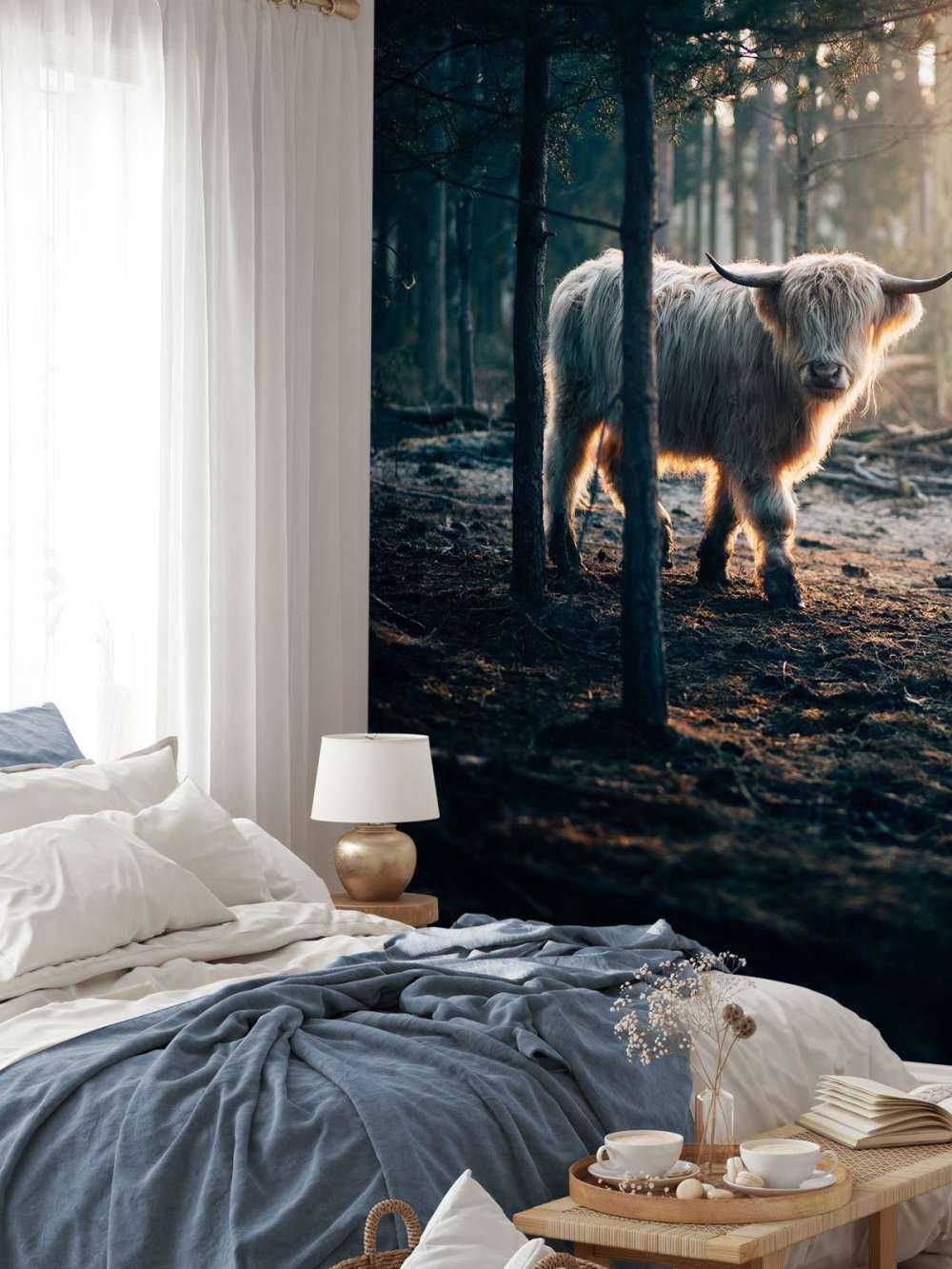 White Scottish Highlander