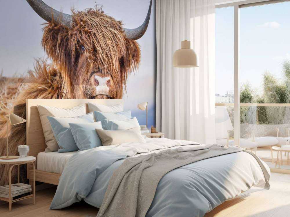 Staring Scottish Highlander