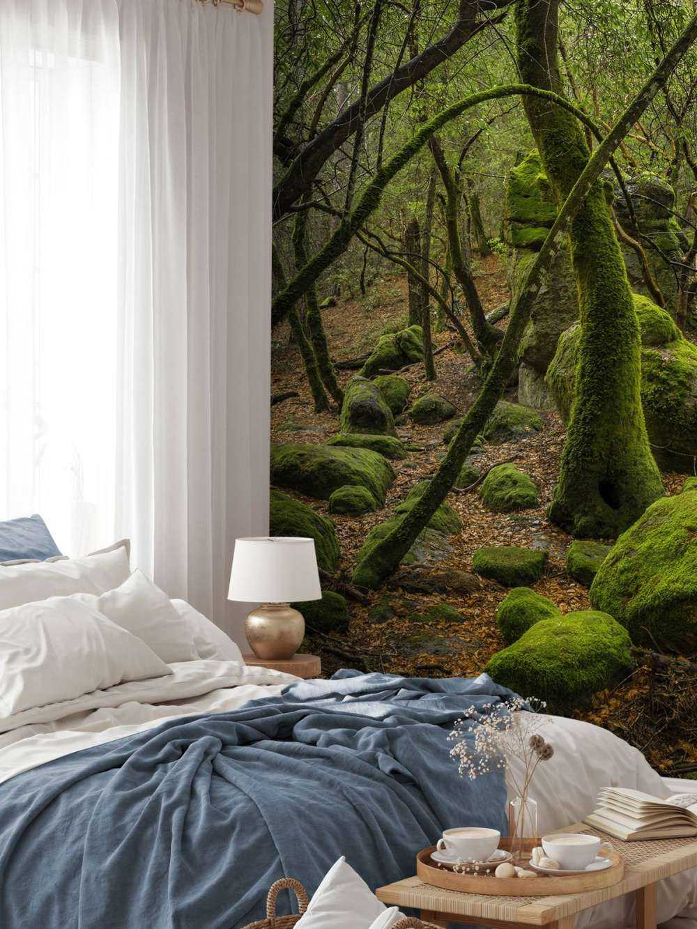 Trees and moss stones