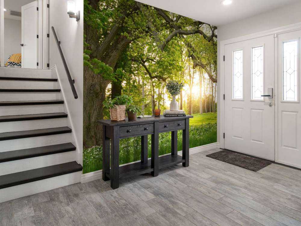 Open space in the woods