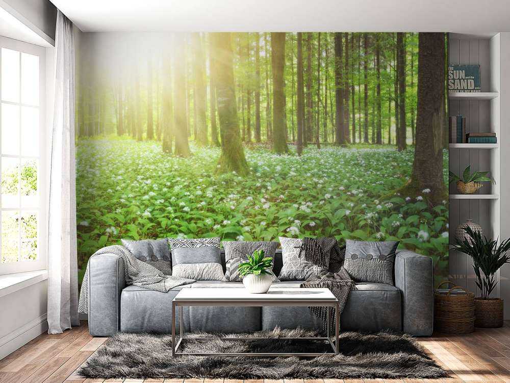 Wild forest at sunrise