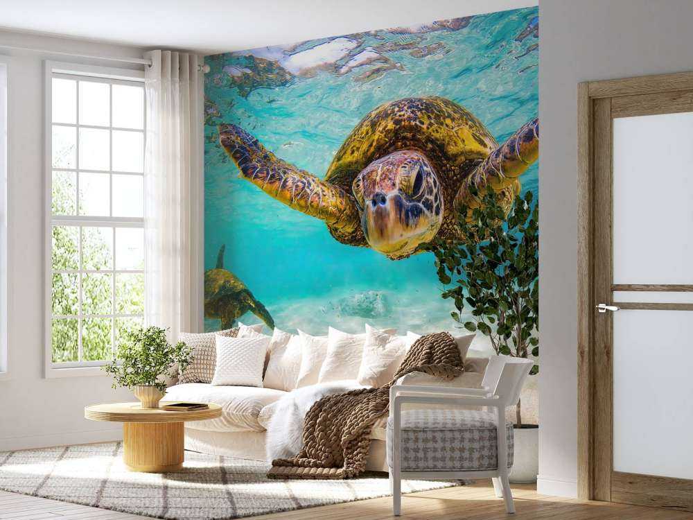 Sea turtle in the ocean