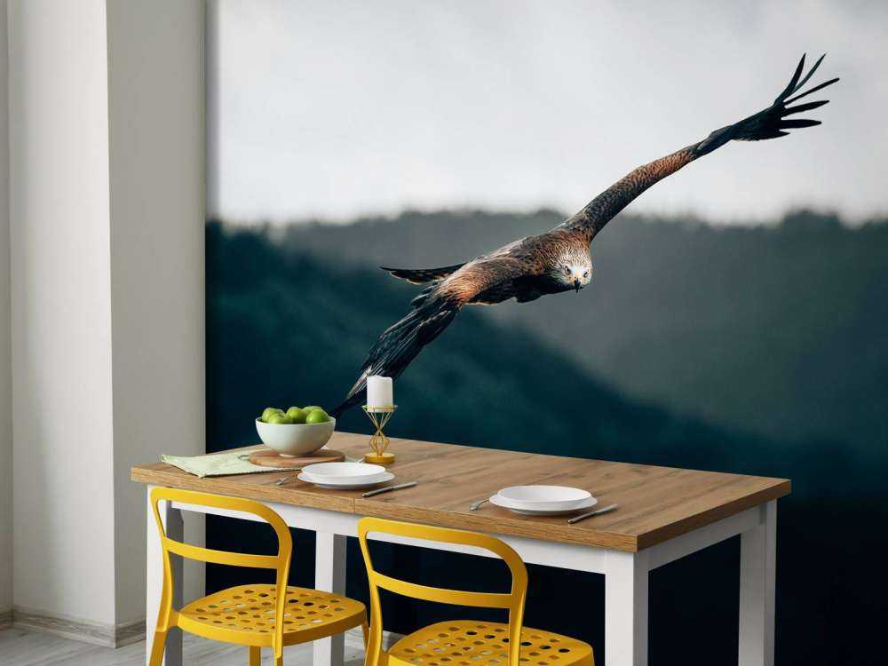 Red kite