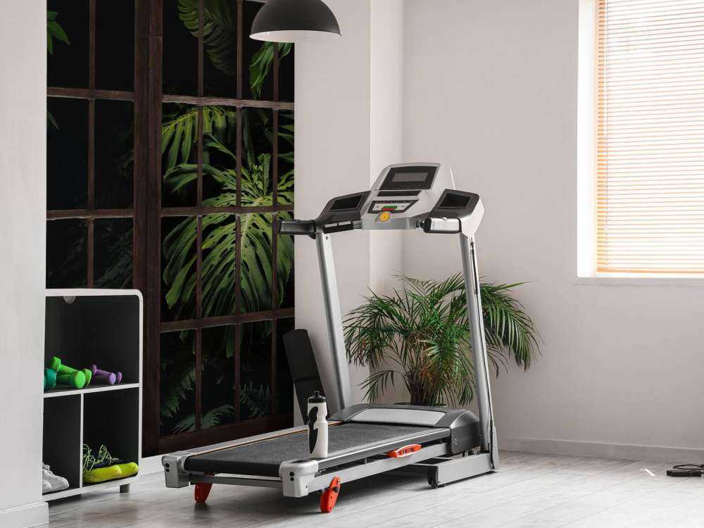 Botanical plants behind windows