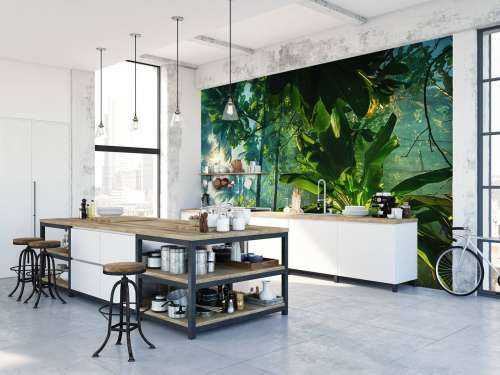Mysterious jungle