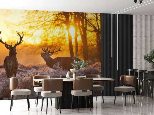 Deer at sunset