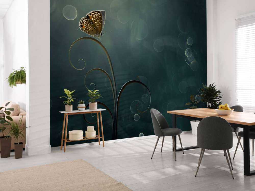 Butterfly in the Morning with Bokeh