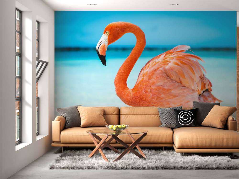 Tropical flamingo