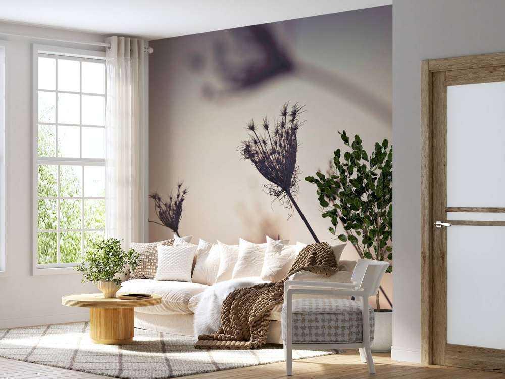 Silhouettes of plants