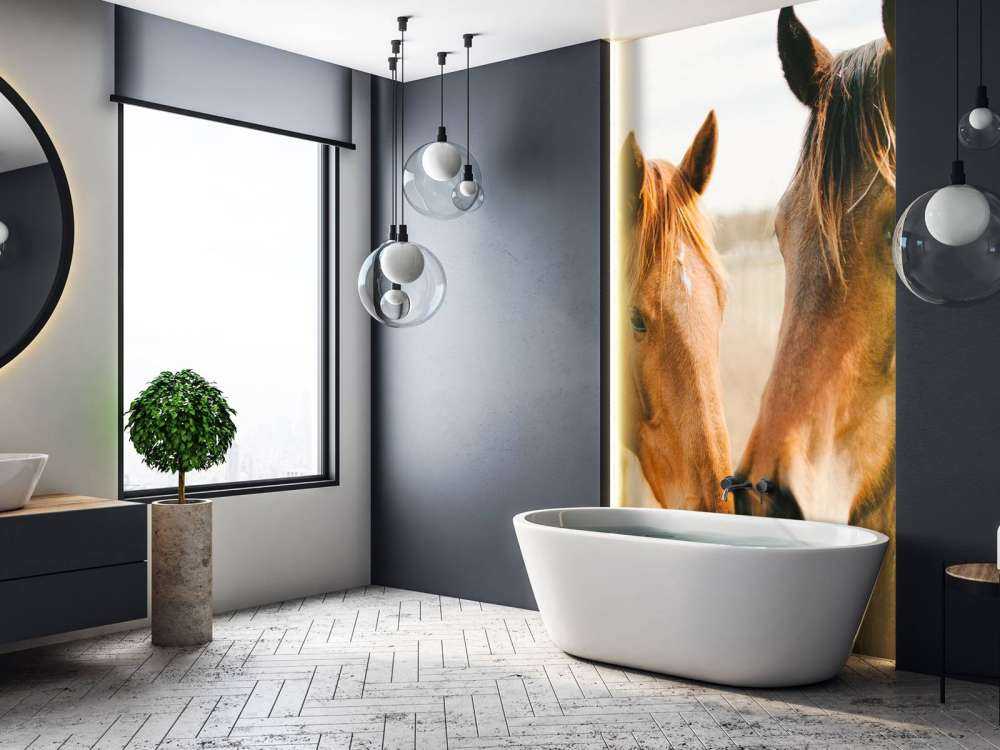 Two horses