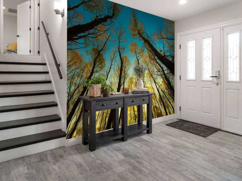 Sunrise between tall trees