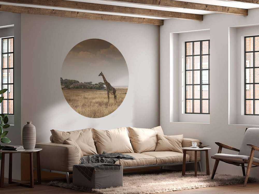 Giraffe on a savannah