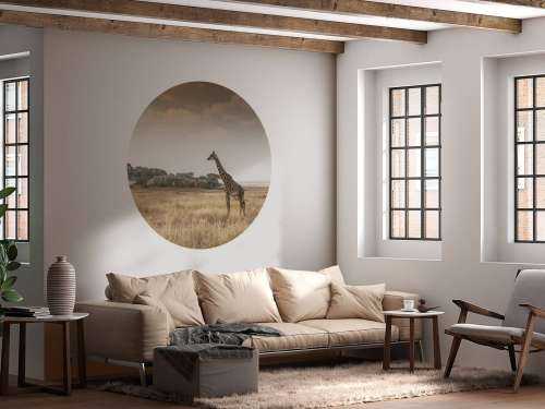 Giraffe on a savannah