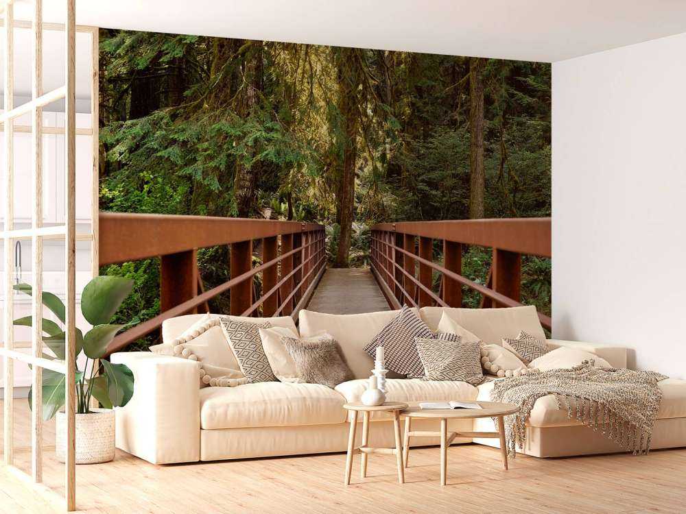 Rusty bridge in the forest 