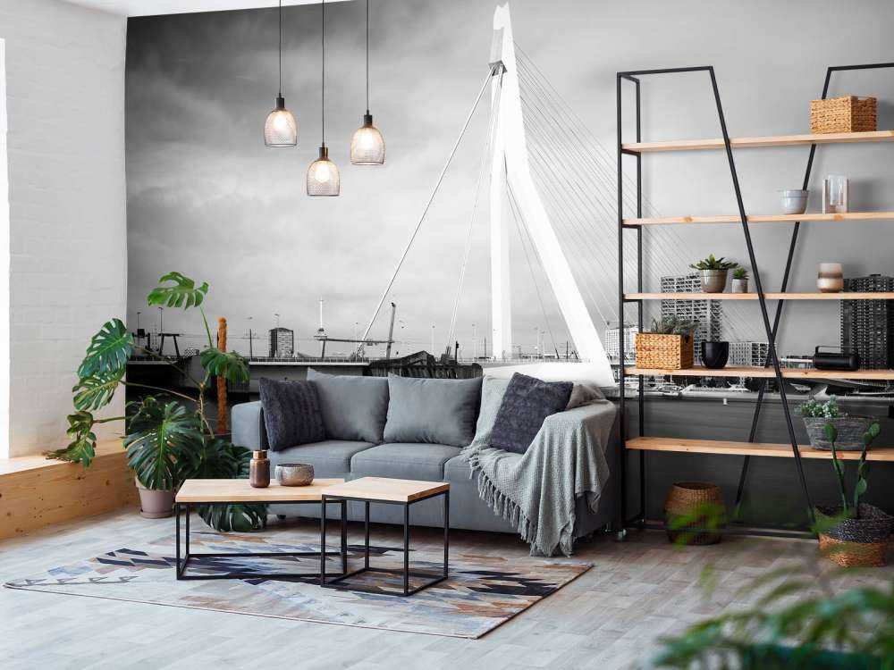 Erasmus Bridge Rotterdam 