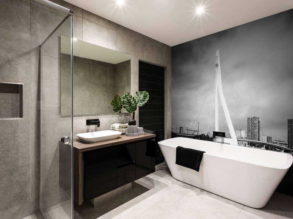 Erasmus Bridge Rotterdam 