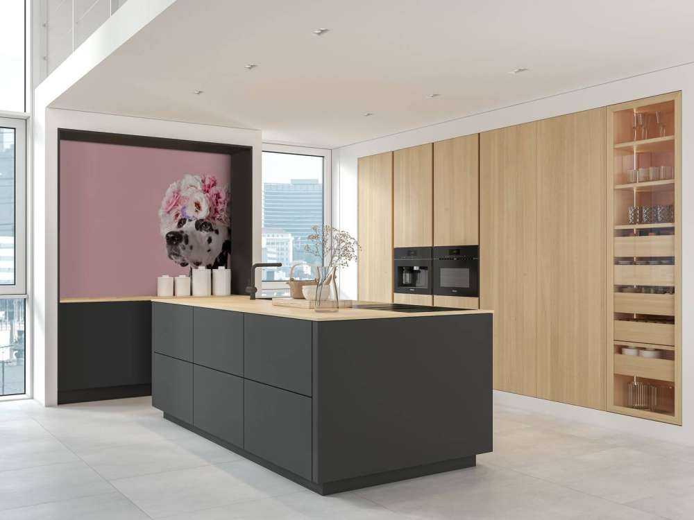 Dalmatian with colored flowers