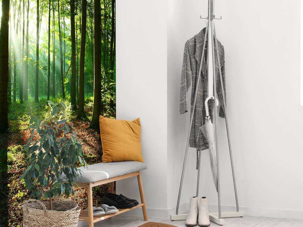 A morning in the forest