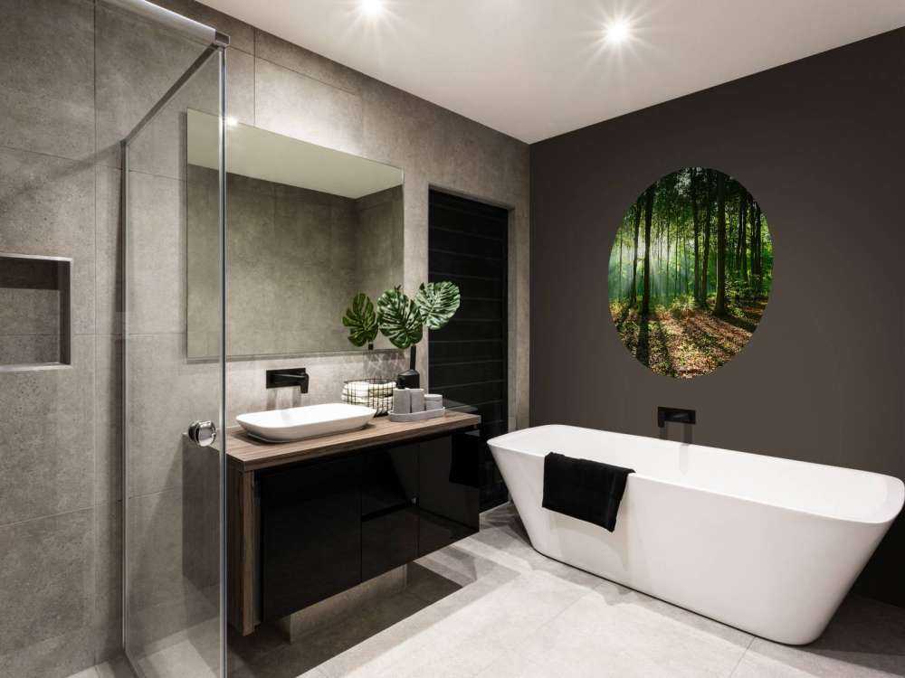 A morning in the forest