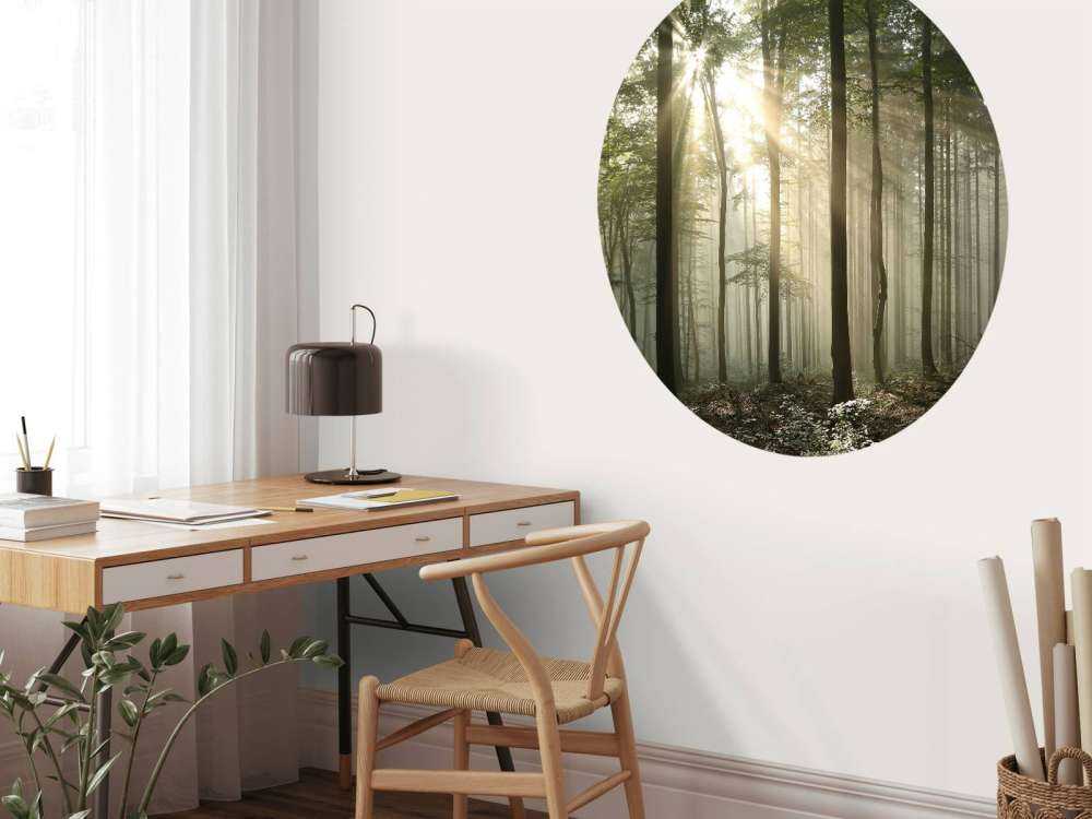 Autumn deciduous forest