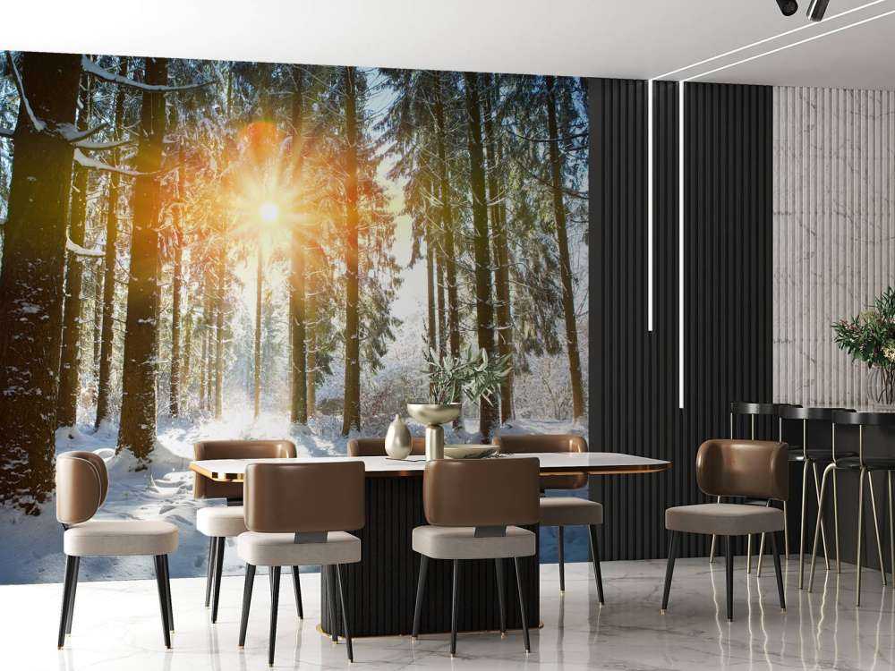 Sunlight in winter forest