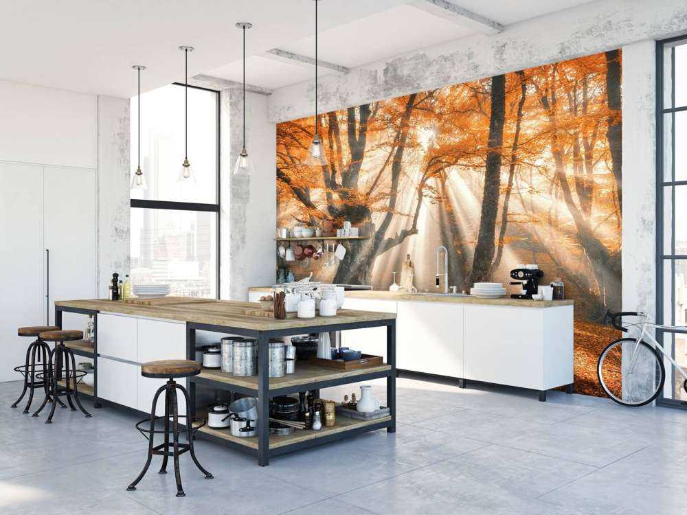 Magical Autumn Forest