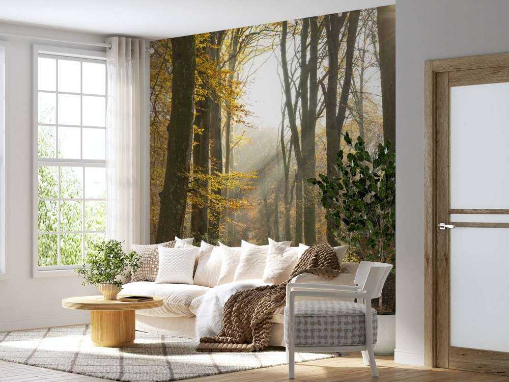 The&#x20;forest&#x20;of&#x20;Cr&#xE9;cy