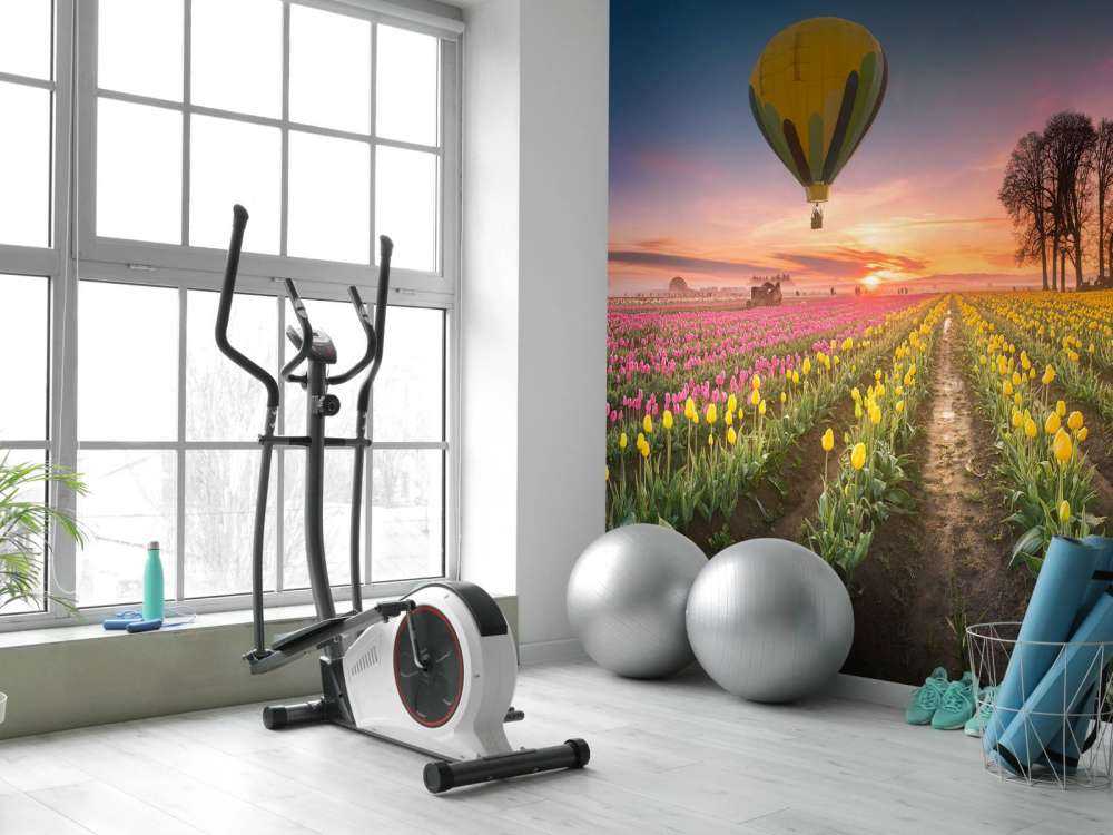 Pink yellow tulip field