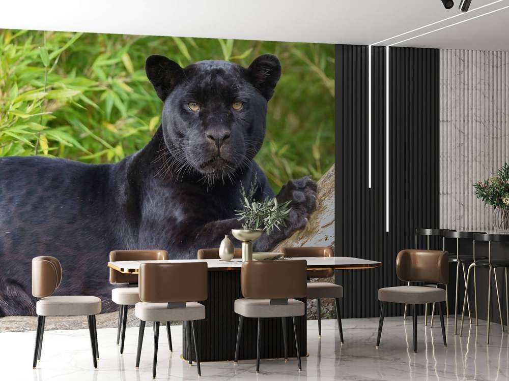 Black panther on a tree