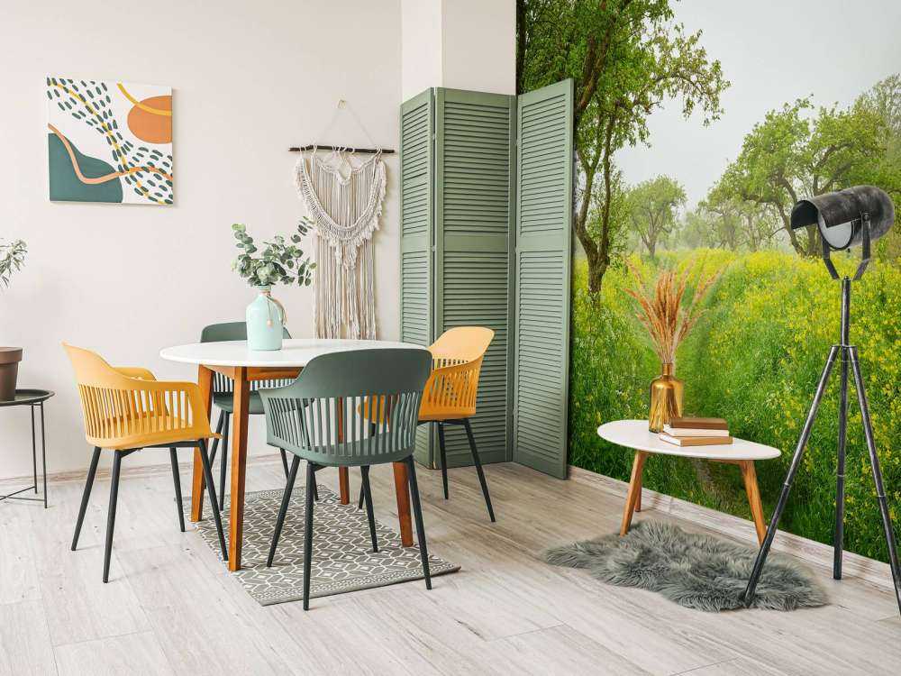 Path through hills with yellow flowers