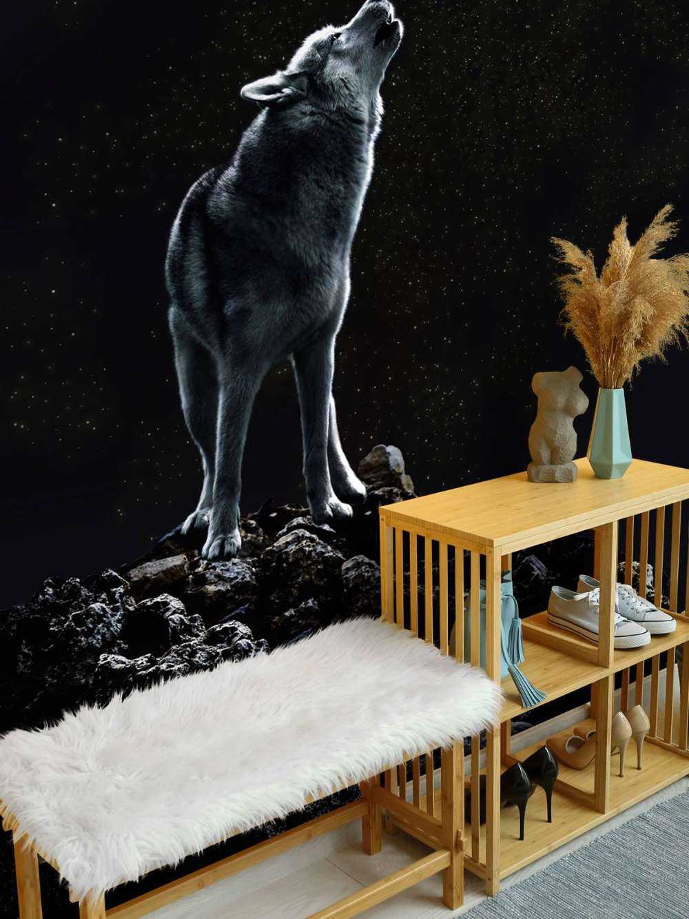 Moon Call Solitary Watchman