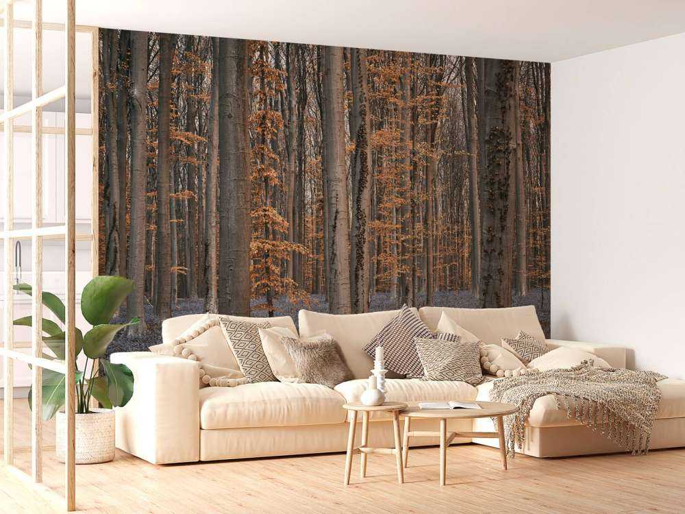 Forest with pastel shades