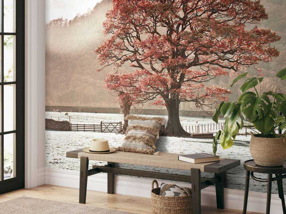 Oak tree in winter